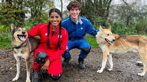 Blue Peter - Christmas Crafts, Dog Sledding And Santa Paws