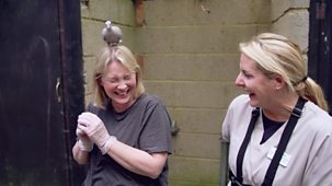 Joanna Page's Wild Life - Series 1: Episode 9