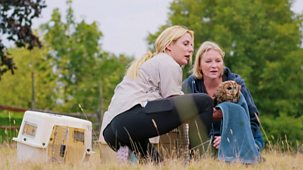 Joanna Page's Wild Life - Series 1: Episode 15