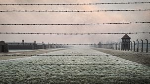 What Happened At Auschwitz - Episode 20-01-2025