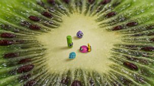 Tiny Wonders - Series 5: 3. Kiwi Fruit