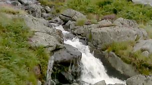 The Flying Gardener - Series 4: Dumfries And Galloway