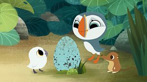 Puffin Rock - Series 1: 2. The Mystery Egg