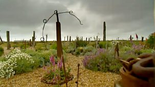 The Flying Gardener - Series 4: Dungeness