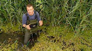 The Flying Gardener - Series 4: Norfolk Broads