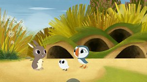 Puffin Rock - Series 1: 13. Hop, Skip And Bump