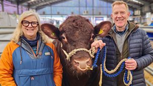 Countryfile - Stirling Bull Sales