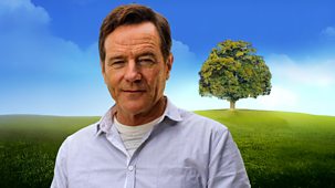 Who Do You Think You Are? Usa - Bryan Cranston