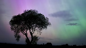 Chronicles Of The Sperrins - Series 1: 1. Chapter 1: Spring