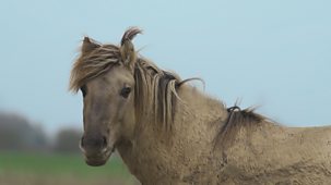 Countryfile - Humber Estuary