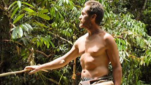 Tribe (2005) - Series 3: 6. Penan