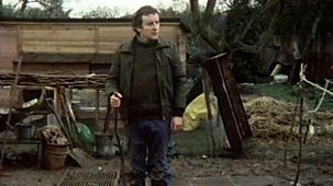 The Good Life - Series 4: 7. The Anniversary