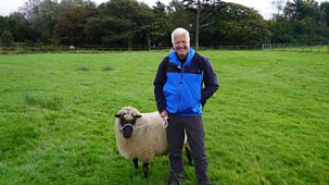 Weatherman Walking - The Best Of: 10. Arts Of The South West