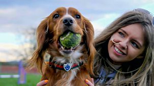 Blue Peter Challenges - Series 3: 4. Abby’s Dog Agility Challenge