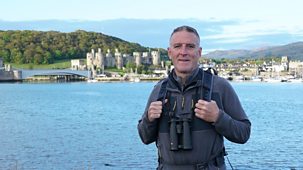 Iolo's River Valleys - Series 1: 3. The Conwy Valley