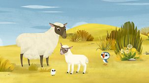 Puffin Rock - Series 2: 28. Lamb Chase