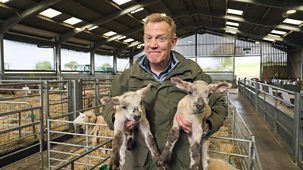 Countryfile - Lambing Special