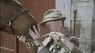 All Creatures Great And Small - Series 4: 4. The Pig Man Cometh