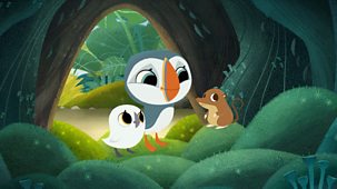 Puffin Rock - Series 2: 35. Mossy's Mystery