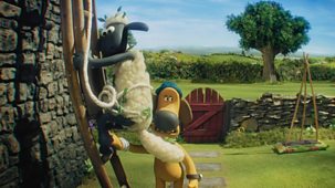 Shaun The Sheep - Series 7: 5. Doorbell