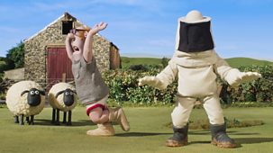 Shaun The Sheep - Series 7: 6. Bee Free