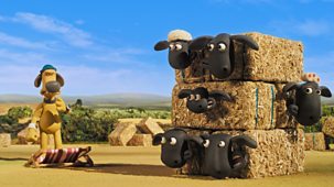 Shaun The Sheep - Series 7: 8. Bitzer’s Bale Out