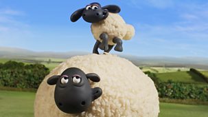 Shaun The Sheep - Series 7: 9. Whistle-stop