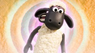 Shaun The Sheep - Specials: 1. Shirleyverse