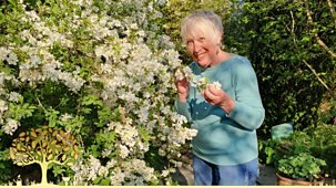 Gardeners' World - 2025: Episode 10