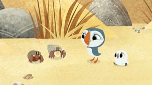 Puffin Rock - Series 2: 37. House Hunting