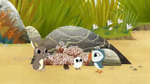 Puffin Rock - Series 2: 38. Super Snail