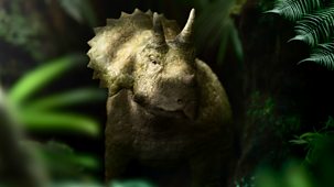 Walking With Dinosaurs - Series 1: 1. The Orphan