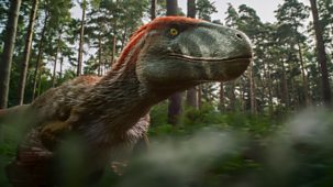 Walking With Dinosaurs - Series 1: 3. Band Of Brothers