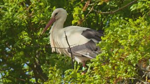 Countryfile - Storrington