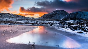 A Wild Year - Shorts: 1. The Lake District: Swim
