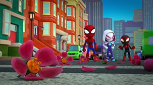 Spidey And His Amazing Friends - Series 3: Tree Trouble/stuck In Space