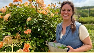 Gardeners' World - 2025: Episode 14