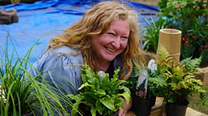 Garden Rescue - Series 10: 20. Revisited: Milton Keynes, Moreton-in-marsh And Birmingham