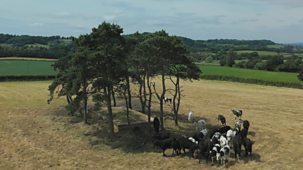 Countryfile - Adam's Farming Families - The Bakers
