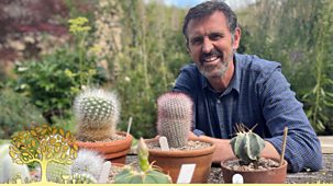 Gardeners' World - 2025: Episode 19