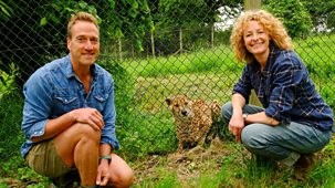 Animal Park - Summer 2025: Episode 8