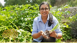 Gardeners' World - 2025: Episode 20