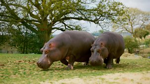 Animal Park - Summer 2025: Episode 15