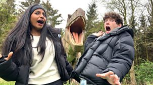 Blue Peter Challenges - Series 4: 2. Hunting Dinosaur Footprints