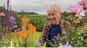 Gardeners' World - 2025: Episode 21