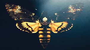 Talking Pictures - The Silence Of The Lambs