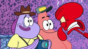 Spongebob Squarepants - Series 11: No Pictures, Please
