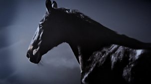 Burghley Horse Trials - 2025