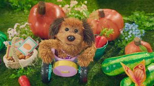 Dodge's Pup School - Series 2: 8. Bertie's Show And Tell
