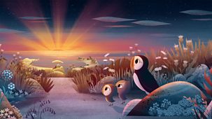 Puffin Rock - Series 3: 3. Rise And Shine